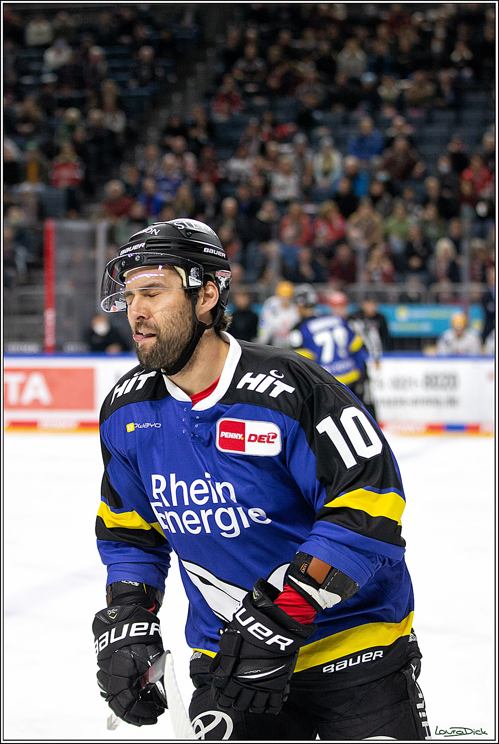 PENNY DEL; Koelner Haie- Fishtown Pinguins Bremerhaven; Koeln, 23.11.2021